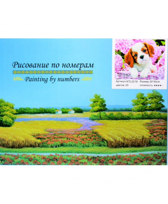 Նկարչություն ըստ համարների 40x30սմ
