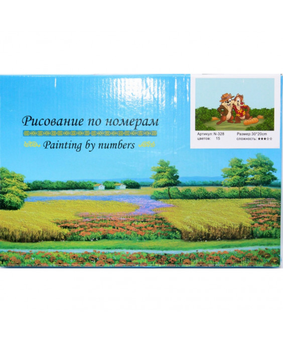 Նկարչություն ըստ համարների 30x20սմ, Chip 'n Dale