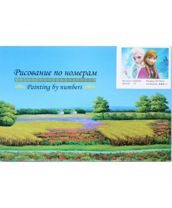 Նկարչություն ըստ համարների 30x20սմ, Frozen