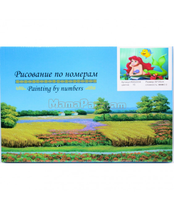 Նկարչություն ըստ համարների 30x20սմ, Ariel